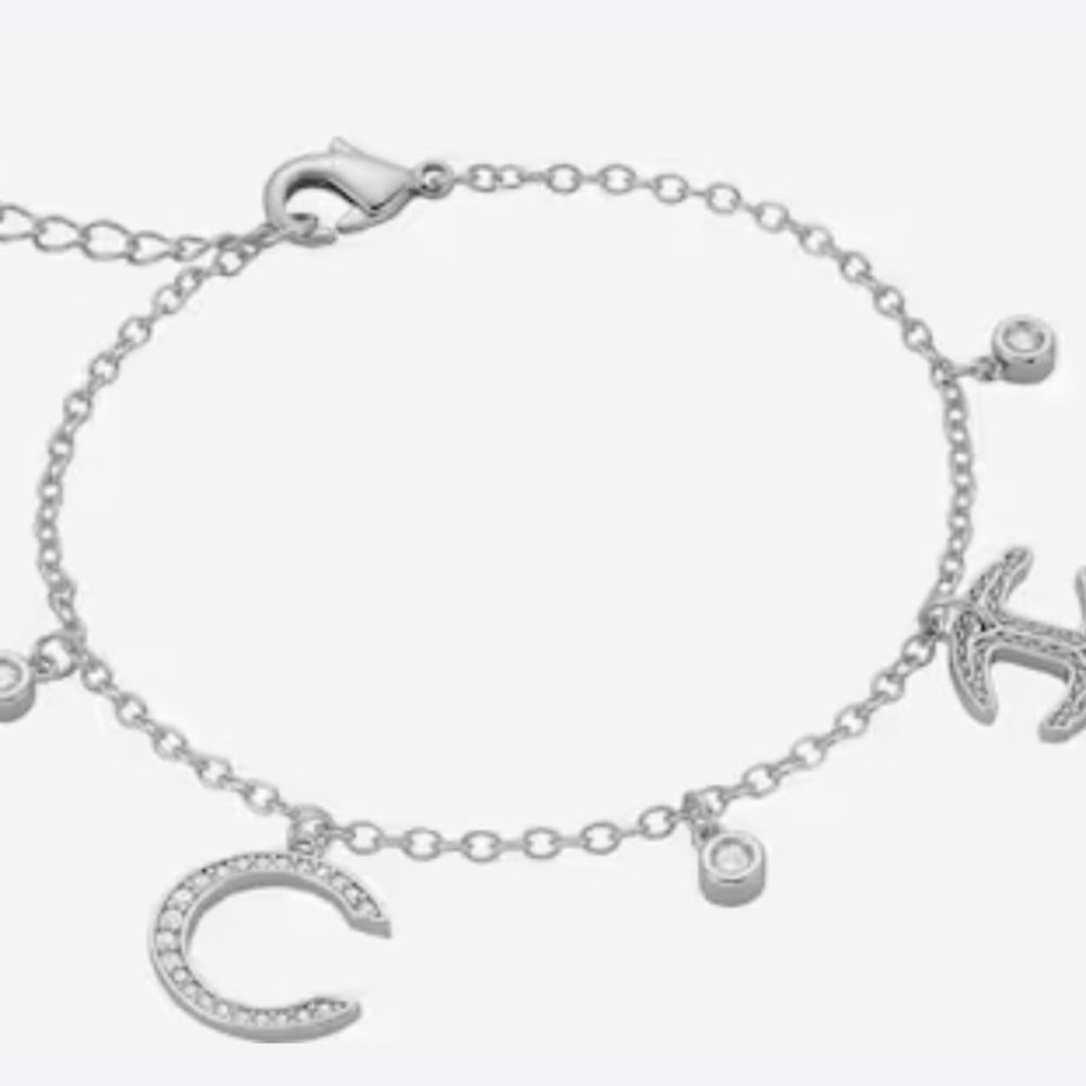 Just Cavalli Carabiner Charm Bracelet in Silver